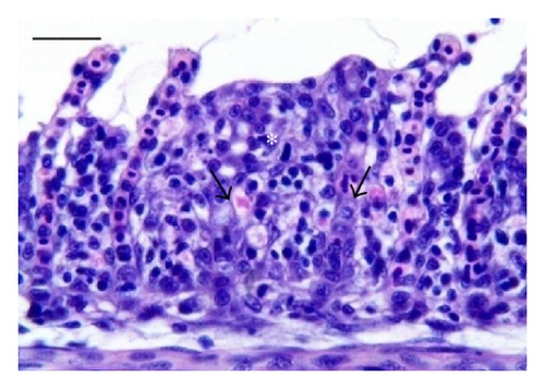 Details are in the caption following the image
