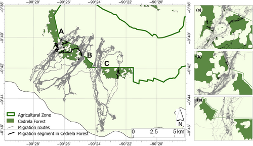 Details are in the caption following the image Details are in the caption following the image