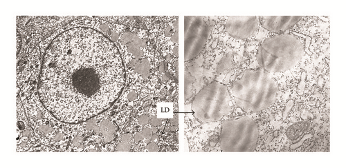 Details are in the caption following the image