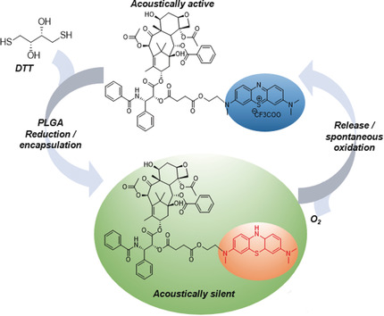 Photoacoustic Imaging Quantifies Drug Release from Nanocarriers via Redox Chemistry of Dye-Labeled Cargo