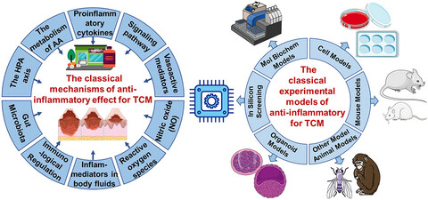 Classic mechanisms and experimental models for the anti-inflammatory effect of traditional Chinese medicine