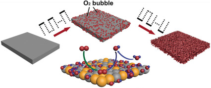 Programmable Exposure of Pt Active Facets for Efficient Oxygen Reduction