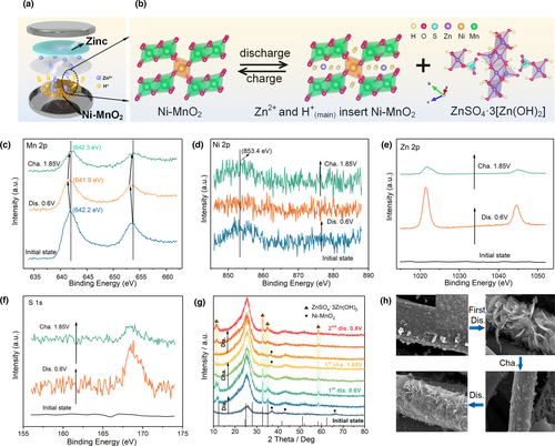 Details are in the caption following the image Details are in the caption following the image