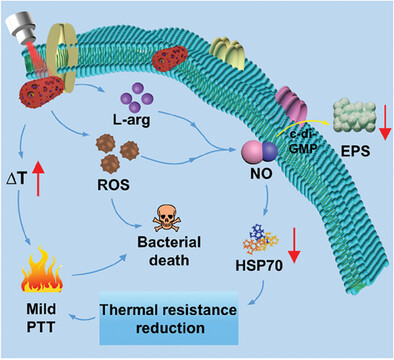 NIR-Triggered Multifunctional NO Nanoplatform for Conquering Thermal Resistance in Biofilms