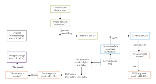 Details are in the caption following the image Details are in the caption following the image