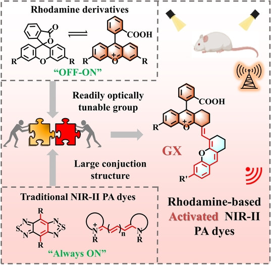A Class of Activatable NIR-II Photoacoustic Dyes for High-Contrast Bioimaging