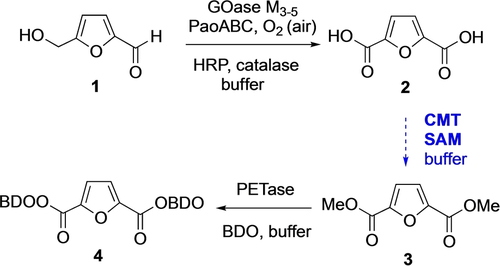 Details are in the caption following the image