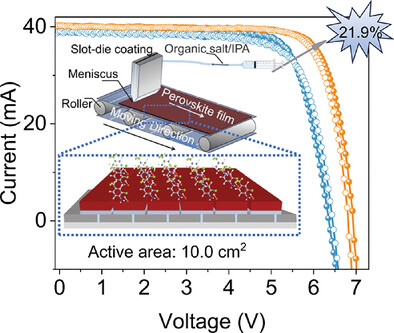 Scalable Slot-Die Coating of Passivation Layers for Improved Performance of Perovskite Solar Cell Modules