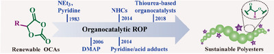 Synthesis of Sustainable Polyesters via Organocatalytic Ring-Opening Polymerization of O-carboxyanhydrides: Advances and Perspectives