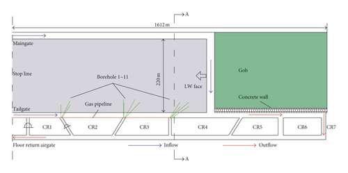 Details are in the caption following the image Details are in the caption following the image