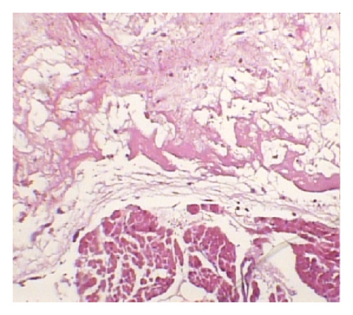Details are in the caption following the image