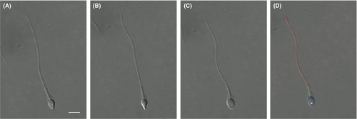 Details are in the caption following the image Details are in the caption following the image