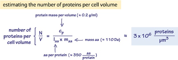 What is the total number of protein molecules per cell volume? A call to rethink some published values