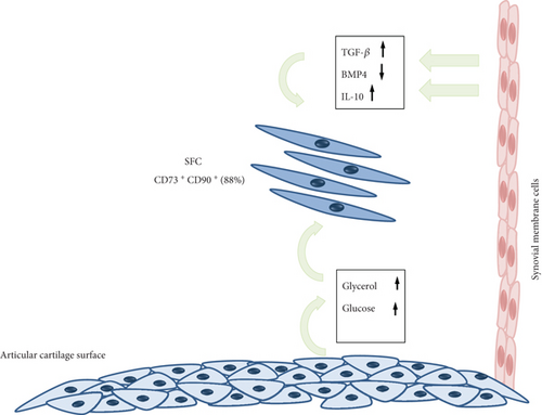 Details are in the caption following the image Details are in the caption following the image