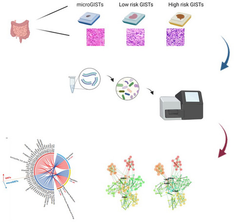 Analysis of microbiome in gastrointestinal stromal tumors: Looking for different players in tumorigenesis and novel therapeutic options