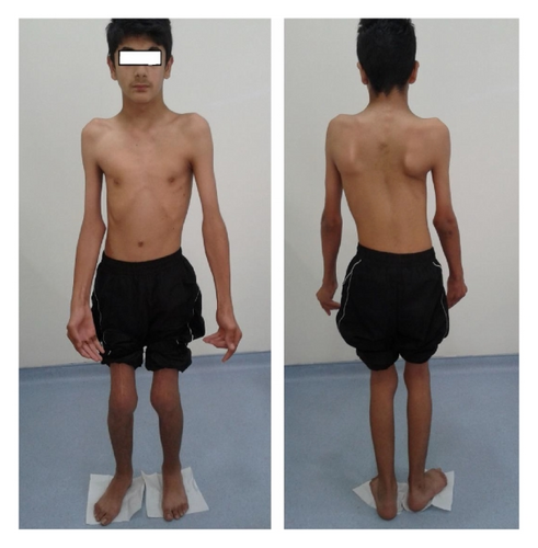 Details are in the caption following the image Details are in the caption following the image