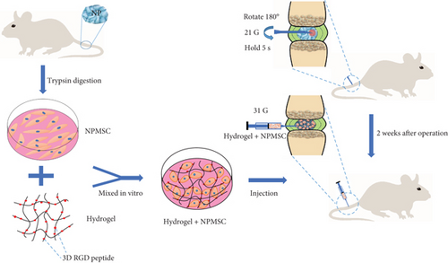 Details are in the caption following the image Details are in the caption following the image