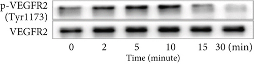 Details are in the caption following the image