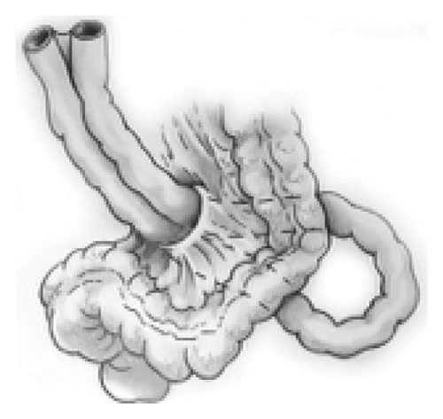 Details are in the caption following the image Details are in the caption following the image
