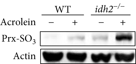 Details are in the caption following the image