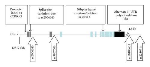 Details are in the caption following the image