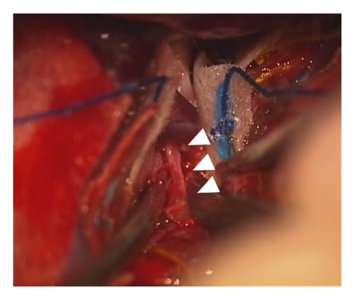 Details are in the caption following the image Details are in the caption following the image
