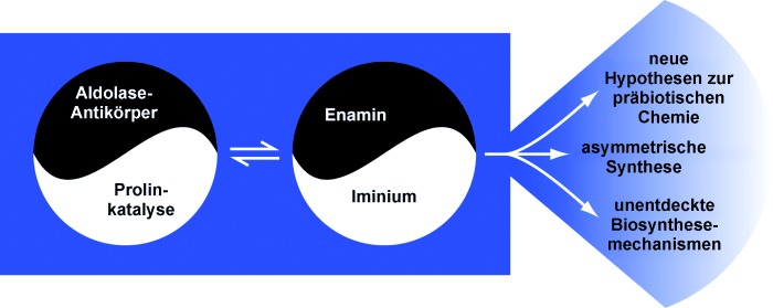 Die verlorene Organokatalyse: moderne Chemie, klassische Chemie und ein unbemerkter Biosynthesemechanismus