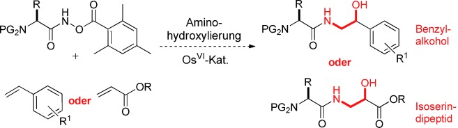 Amino Acid-Based Reoxidants for Aminohydroxylation: Application to the Construction of Amino Acid–Amino Alcohol Conjugates