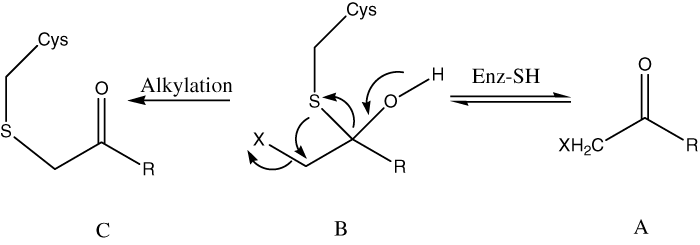 inline image