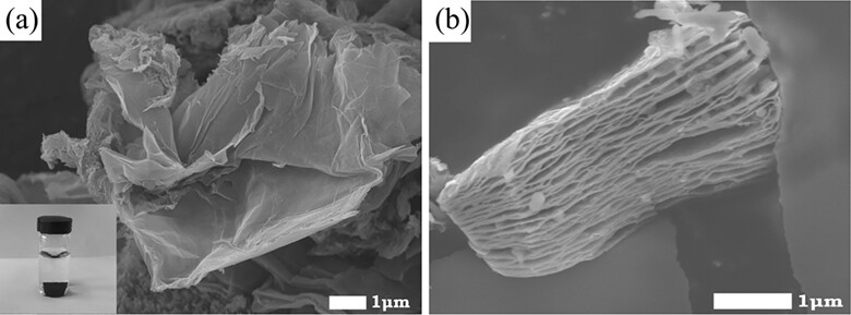 Reduced graphene oxide/titanium carbide MXene nanocomposite-modified electrode for electrochemical hemoglobin biosensor