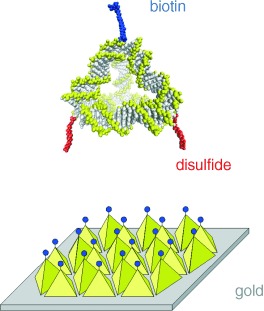 A DNA Nanostructure for the Functional Assembly of Chemical Groups with Tunable Stoichiometry and Defined Nanoscale Geometry