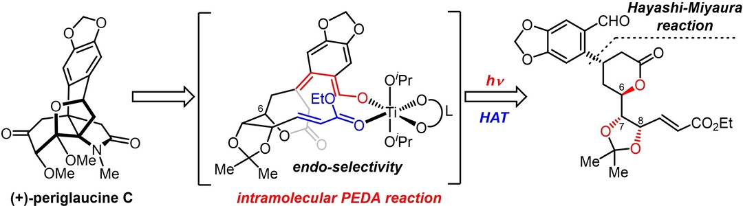Asymmetric Total Synthesis of Hasubanan Alkaloids: Periglaucines A–C, N,O-Dimethyloxostephine and Oxostephabenine