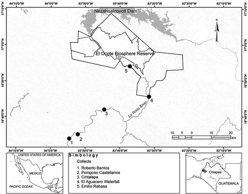 Details are in the caption following the image Details are in the caption following the image