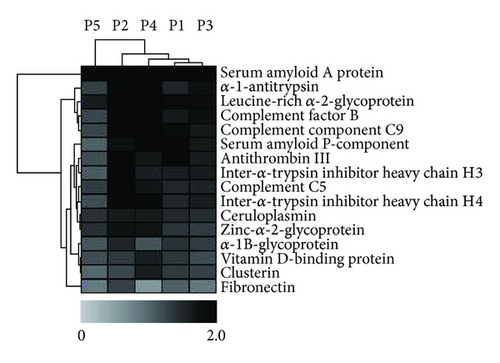 Details are in the caption following the image Details are in the caption following the image