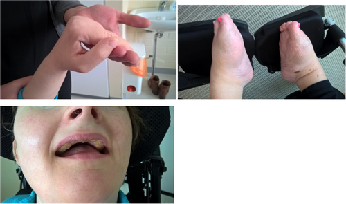 Details are in the caption following the image Details are in the caption following the image