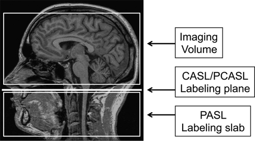 Details are in the caption following the image