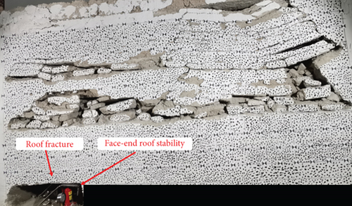 Details are in the caption following the image Details are in the caption following the image