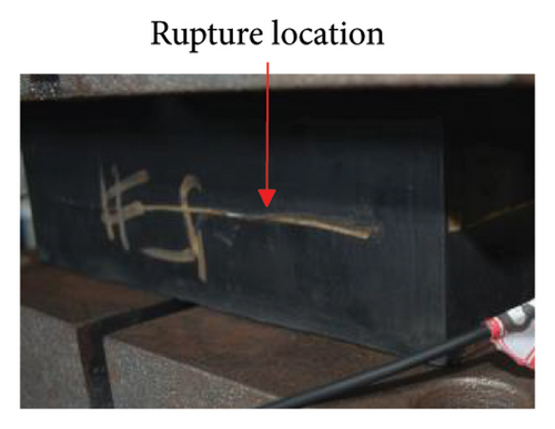 Details are in the caption following the image Details are in the caption following the image