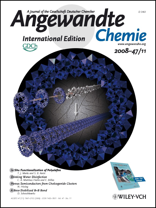 Cover Picture: Directed 1D Assembly of a Ring-Shaped Inorganic Nanocluster Templated by an Organic Rigid-Rod Molecule: An Inorganic/Organic Polypseudorotaxane (Angew. Chem. Int. Ed. 11/2008)