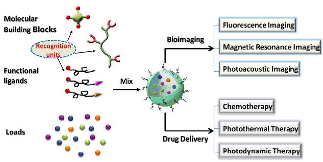 Smart Supramolecular Nanosystems for Bioimaging and Drug Delivery