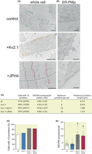 Details are in the caption following the image Details are in the caption following the image