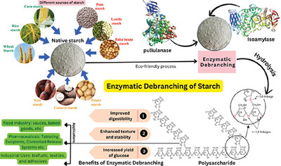 Enzymatic Debranching of Starch: Techniques for Improving Drug Delivery and Industrial Applications