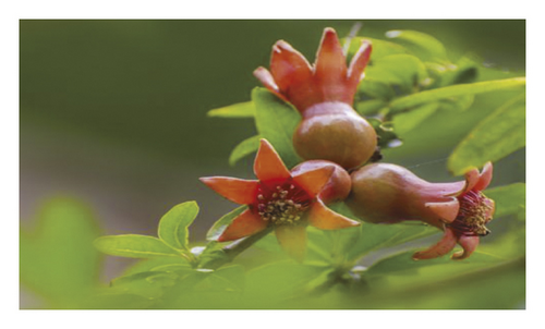 Details are in the caption following the image