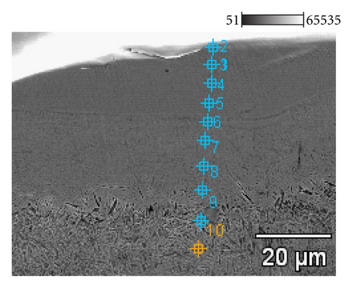 Details are in the caption following the image Details are in the caption following the image