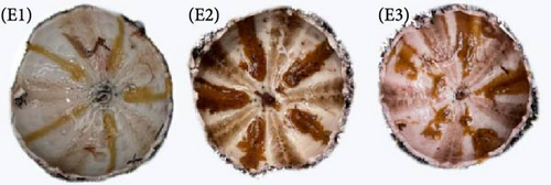Details are in the caption following the image Details are in the caption following the image