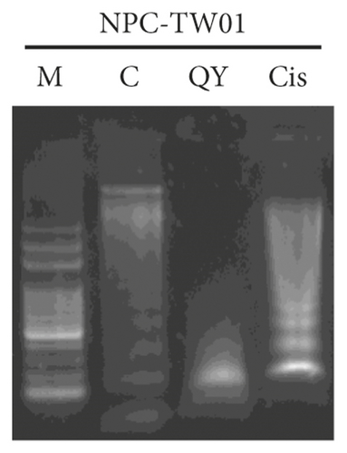 Details are in the caption following the image