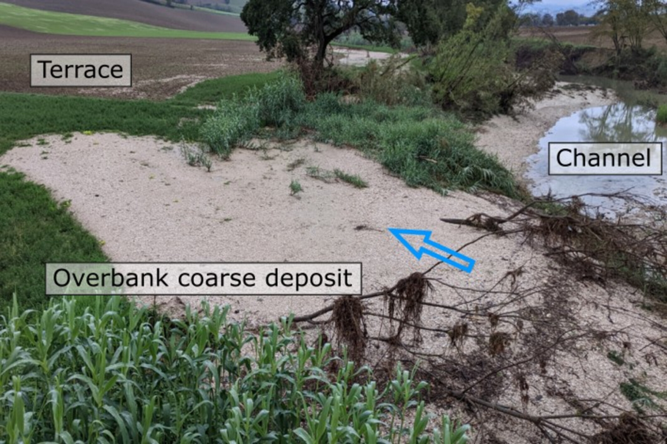 Suspended transport of gravel in rivers: Empirical evidence from the 2022 flood in the Misa River (Eastern Apennines, Italy)