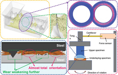 The Influence of Length-Diameter Ratio of Cellulose on Friction Characteristics of Screw Surface Investigated by EDEM Simulation