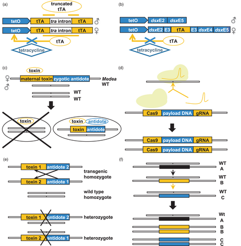 Details are in the caption following the image Details are in the caption following the image