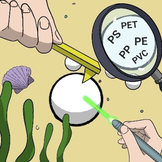 Spectro-Microscopic Techniques for Studying Nanoplastics in the Environment and in Organisms